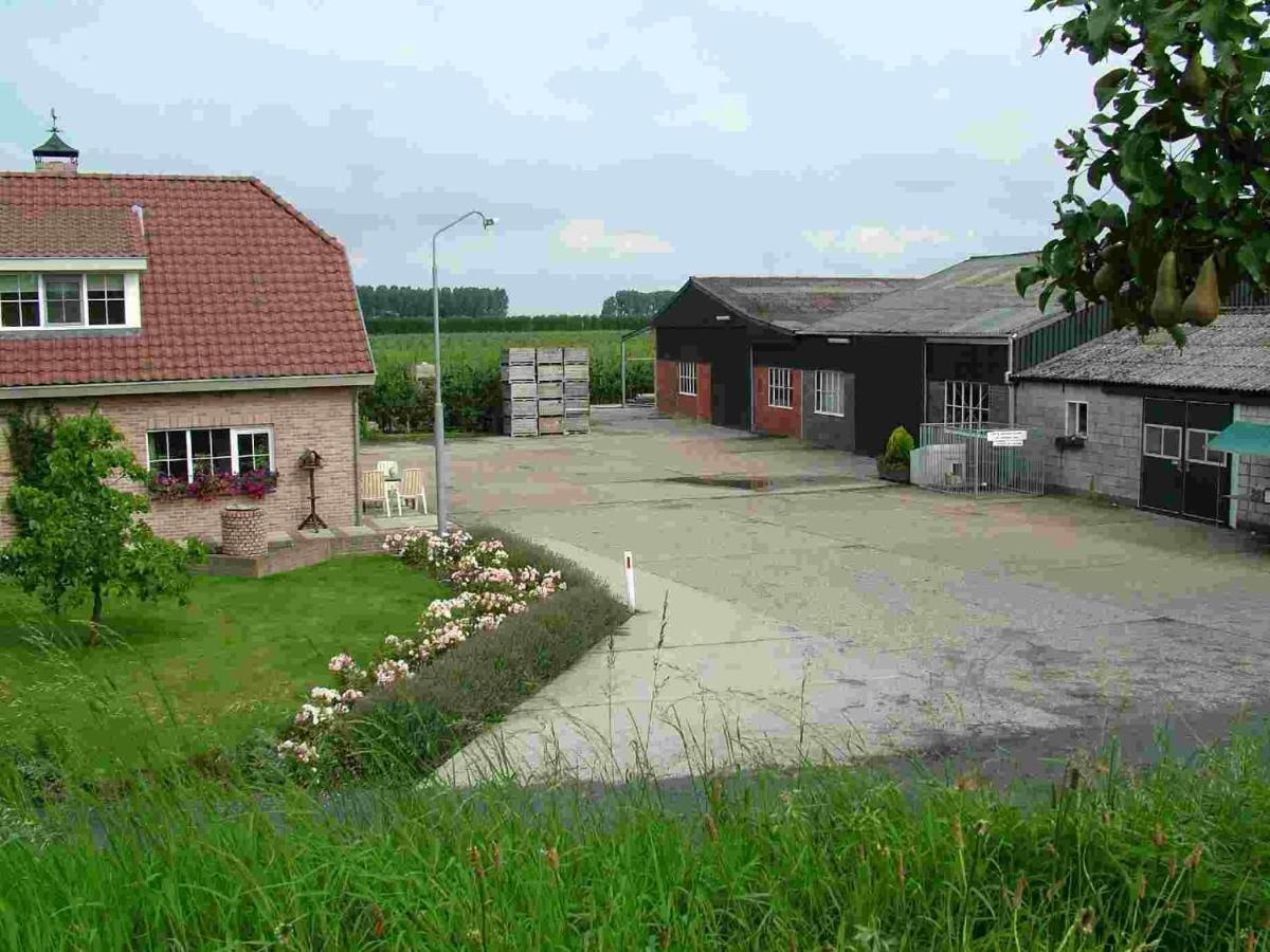 Chalet Elstar Hengstdijk Zewnętrze zdjęcie
